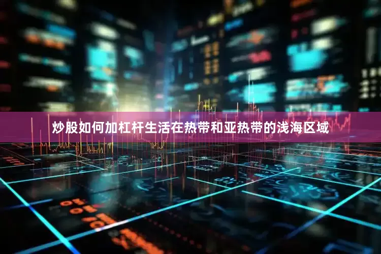 炒股如何加杠杆生活在热带和亚热带的浅海区域
