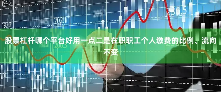 股票杠杆哪个平台好用一点二是在职职工个人缴费的比例、流向不变