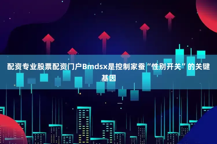 配资专业股票配资门户Bmdsx是控制家蚕“性别开关”的关键基因